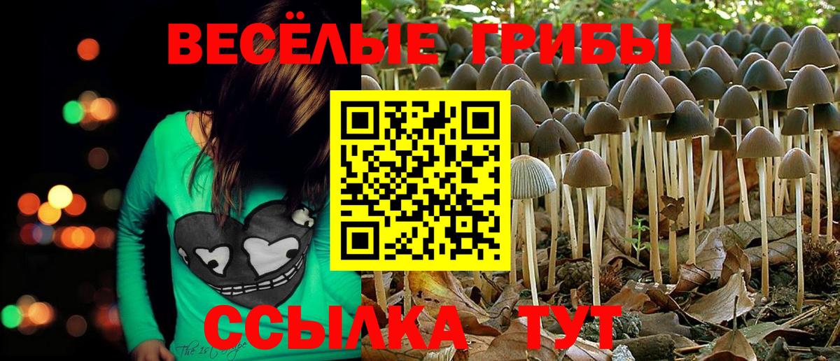 Саяногорск  Галлюциногенные грибы Magic Shrooms  Псилоцибиновые грибы GOLDEN TEACHER  Вход с VPN 